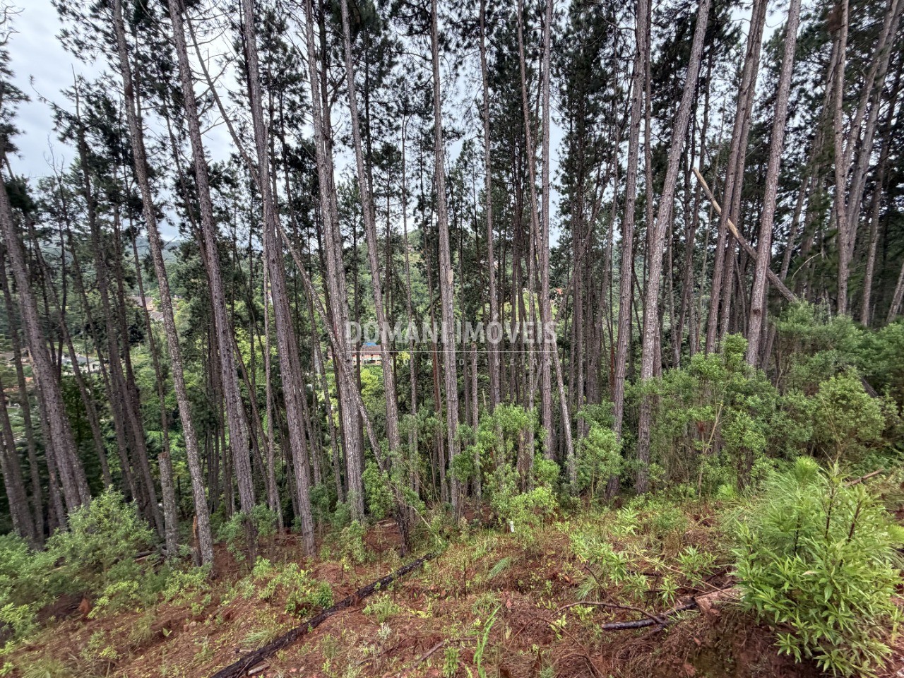Terreno, 2560 m² - Foto 12