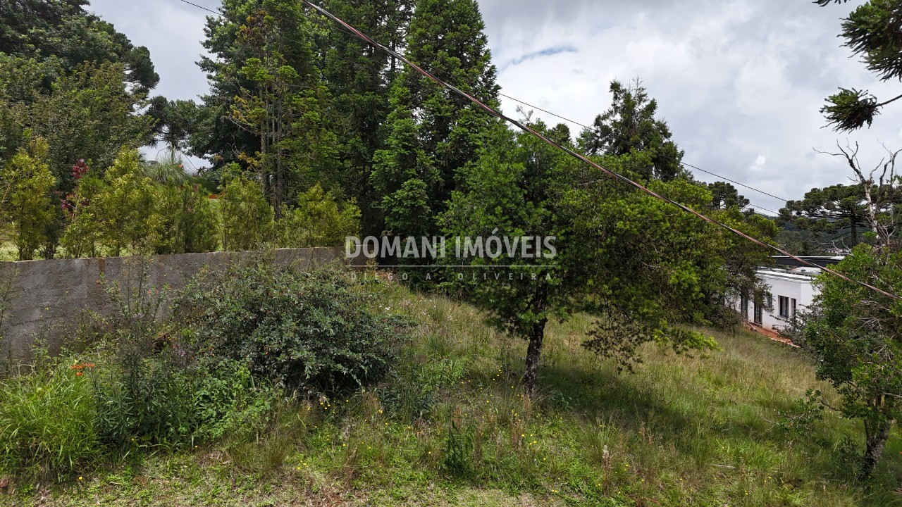 Terreno, 1095 m² - Foto 10