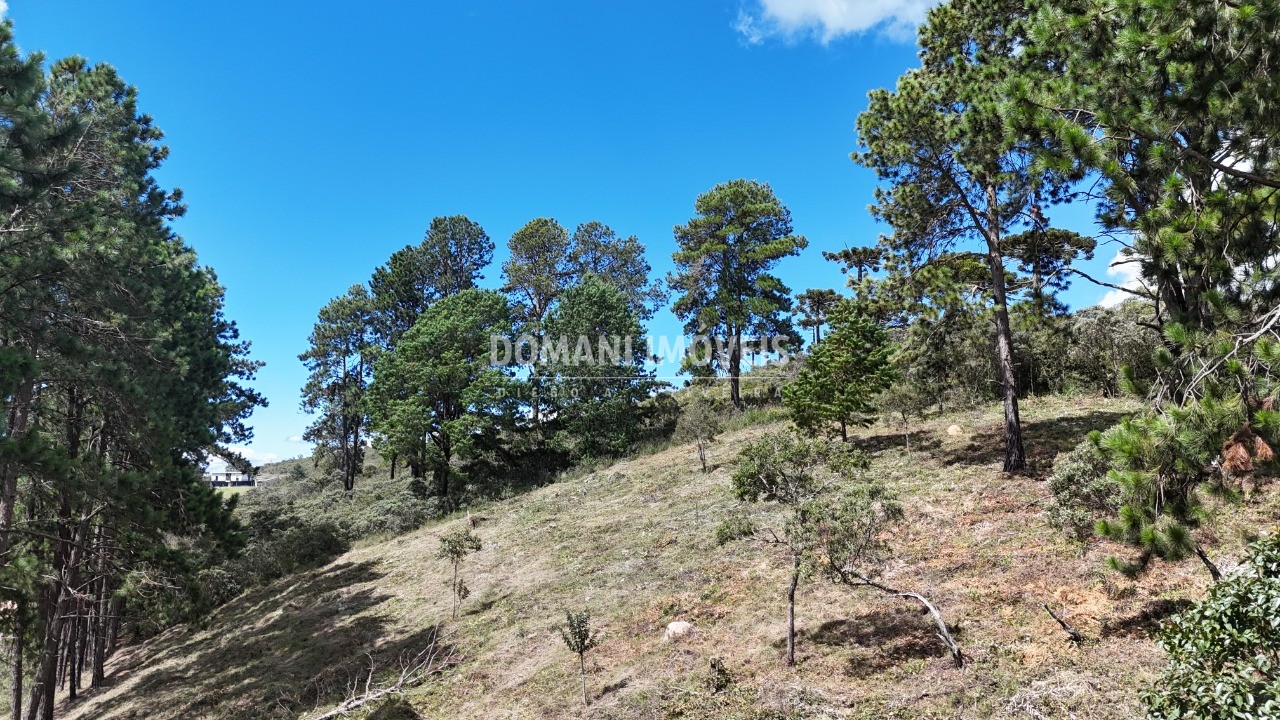 Terreno, 5290 m² - Foto 39