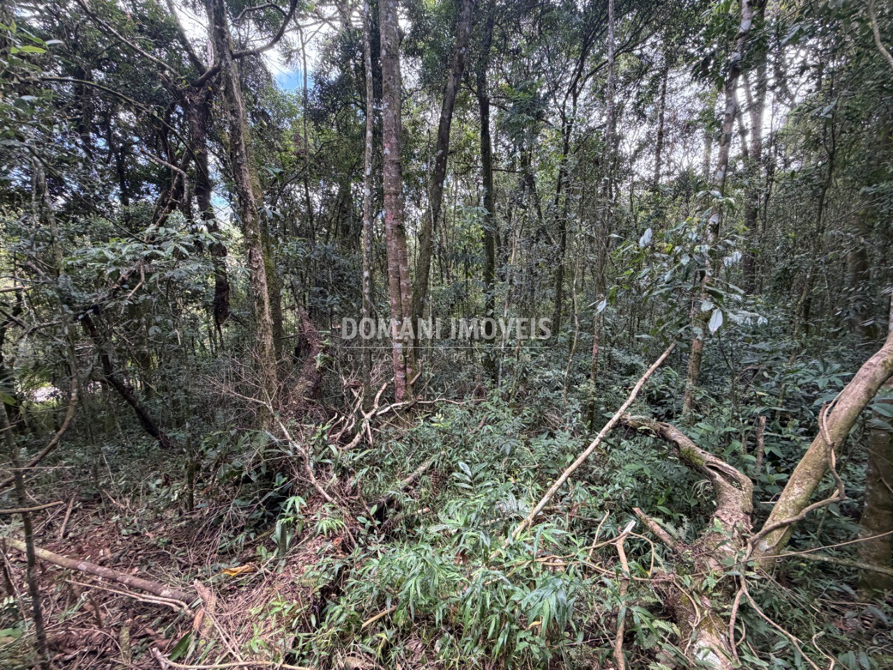 Terreno, 1000 m² - Foto 4