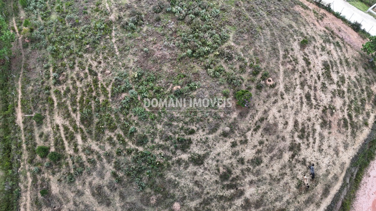Terreno, 5270 m² - Foto 7