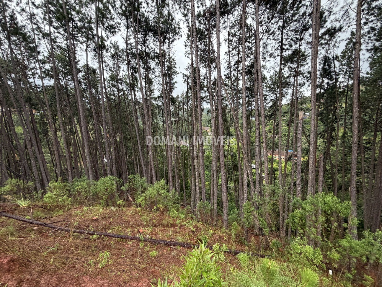 Terreno, 2560 m² - Foto 9