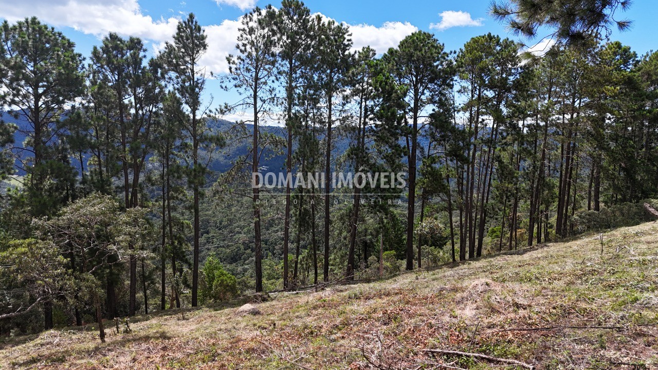 Terreno, 5290 m² - Foto 9