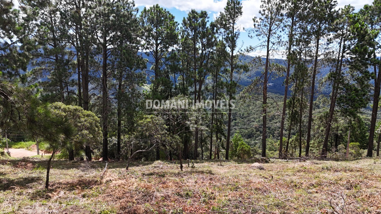 Terreno, 5290 m² - Foto 21