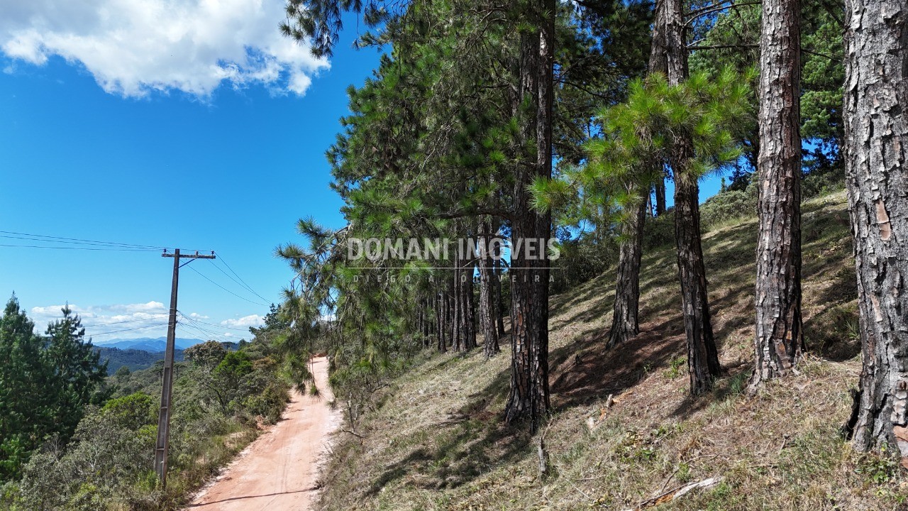 Terreno, 5290 m² - Foto 16