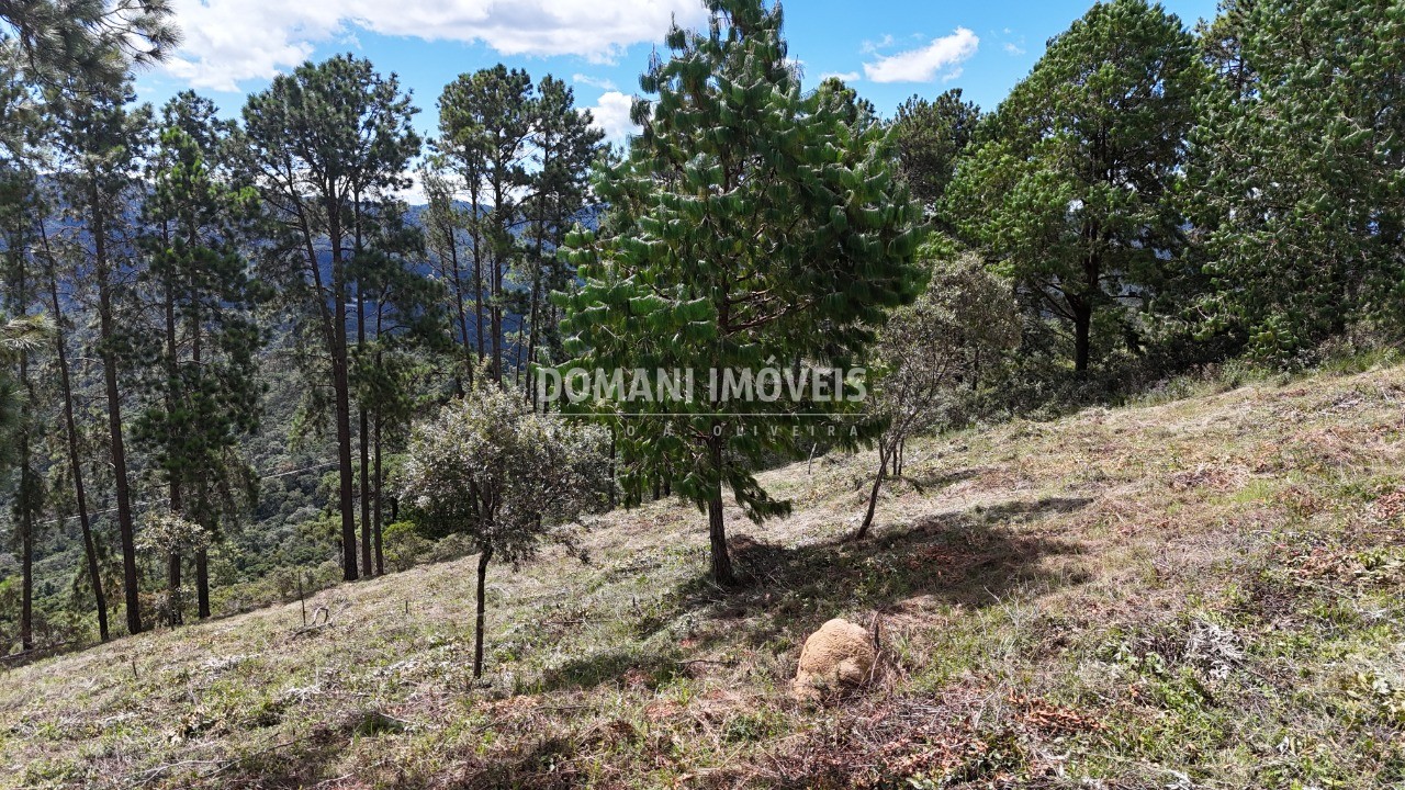 Terreno, 5290 m² - Foto 27