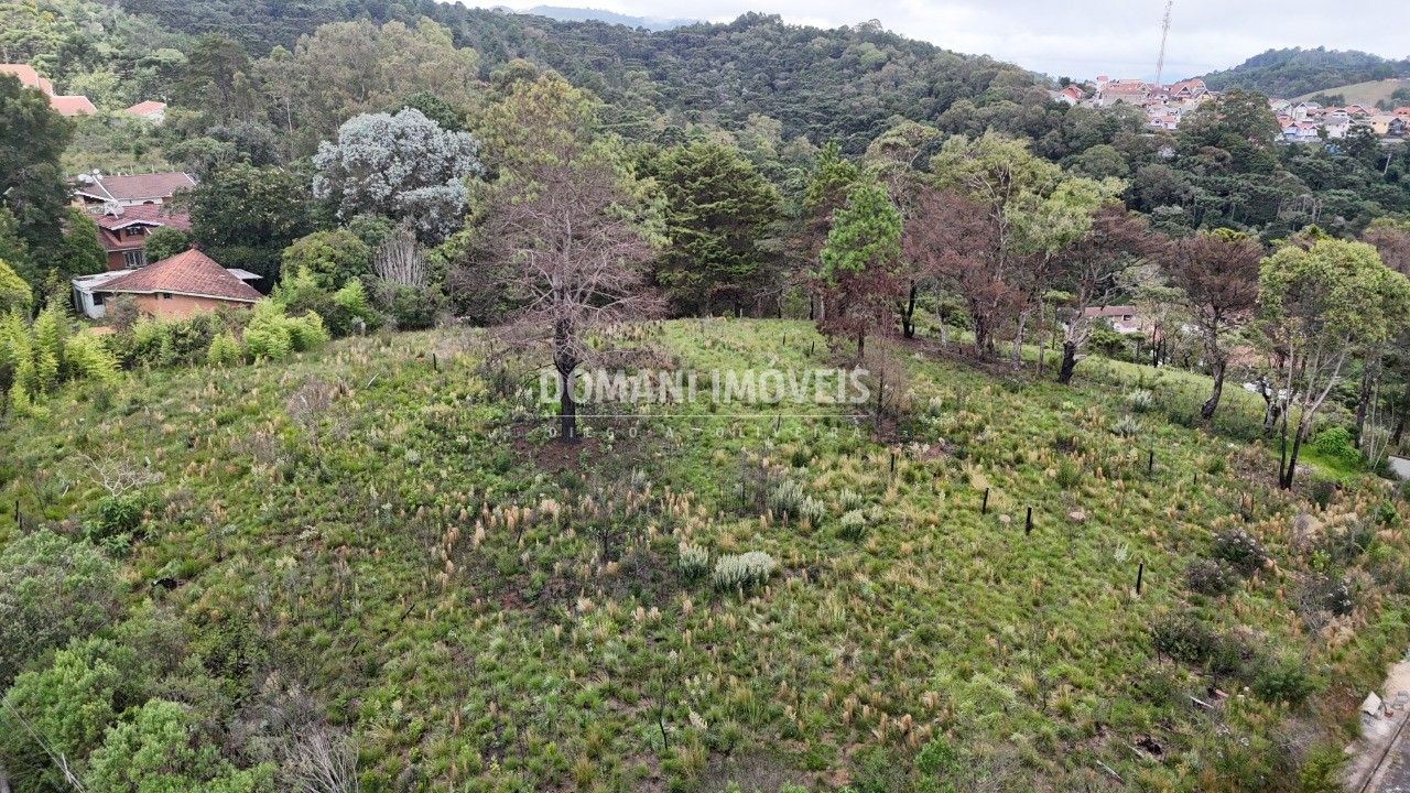 Terreno, 2795 m² - Foto 7