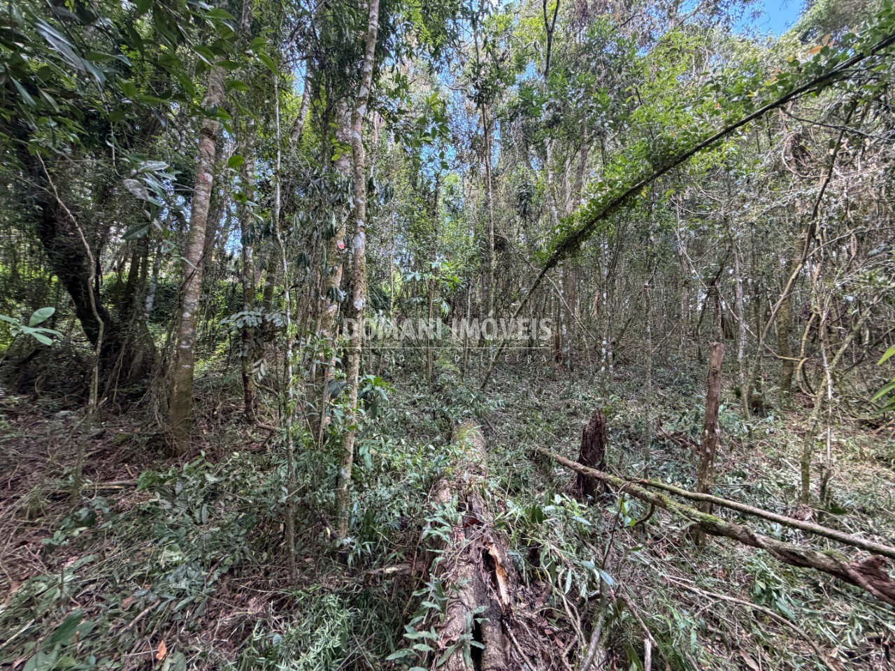 Terreno, 1000 m² - Foto 17