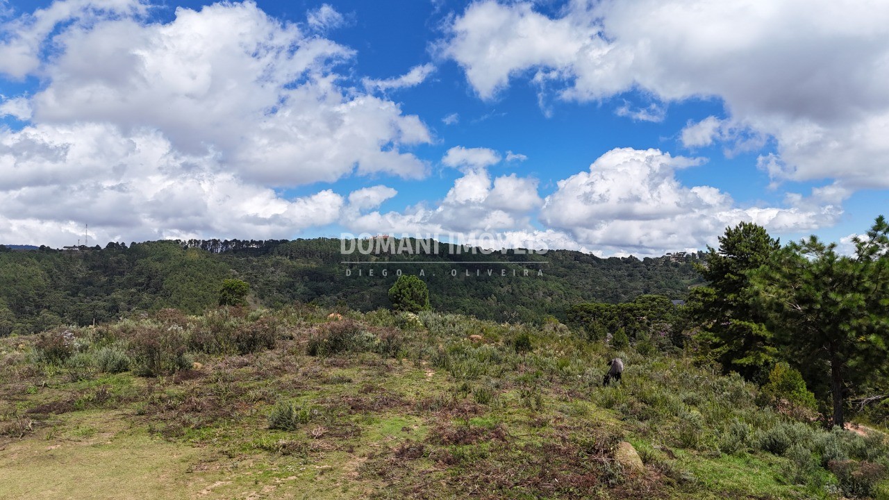 Terreno, 5270 m² - Foto 4