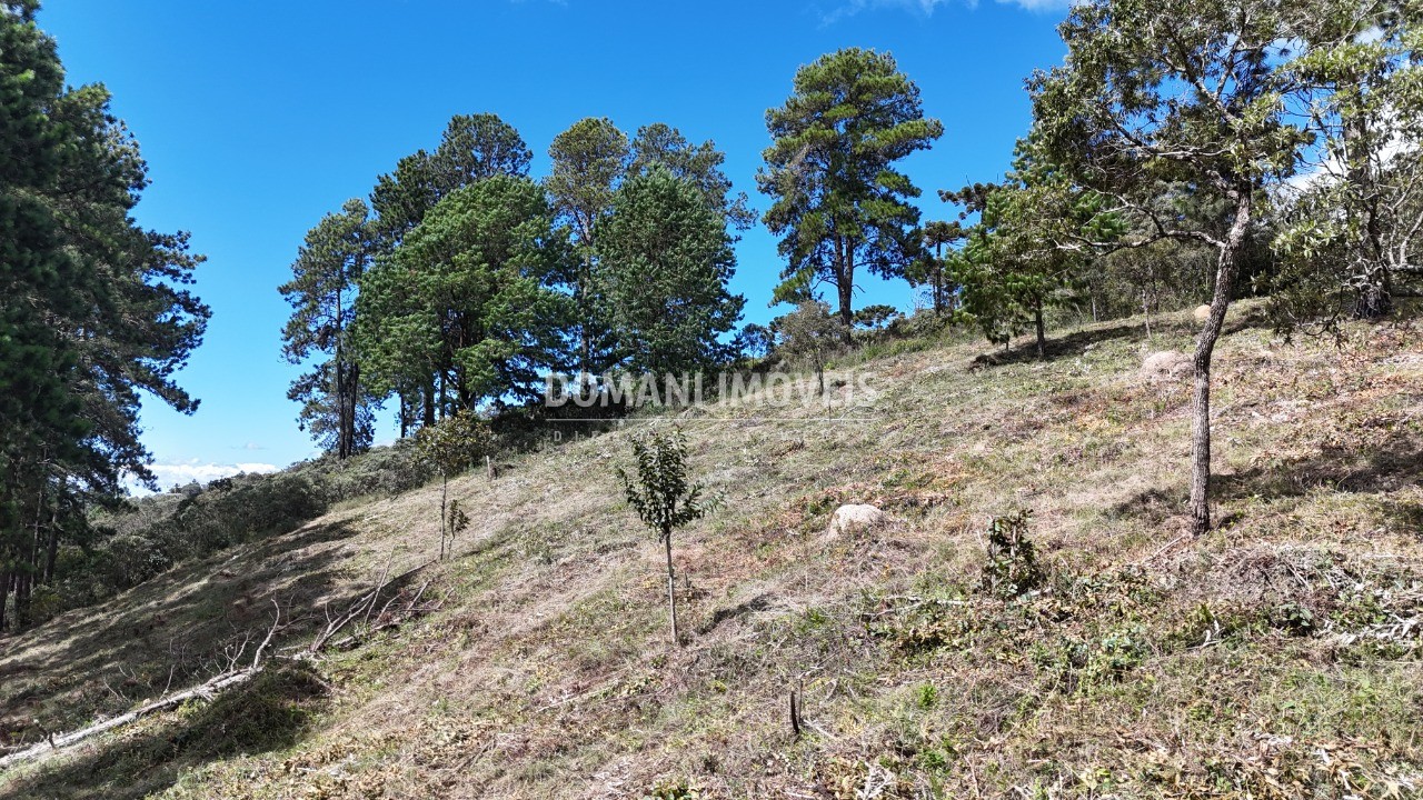 Terreno, 5290 m² - Foto 7