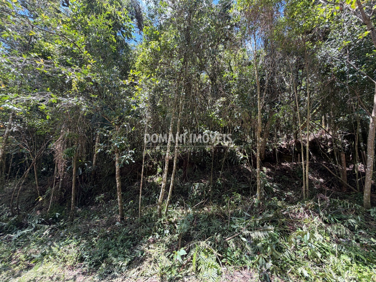 Terreno, 1000 m² - Foto 25