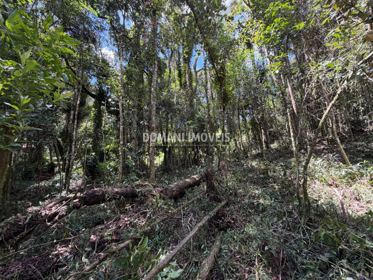 Terreno, 1000 m² - Foto 10