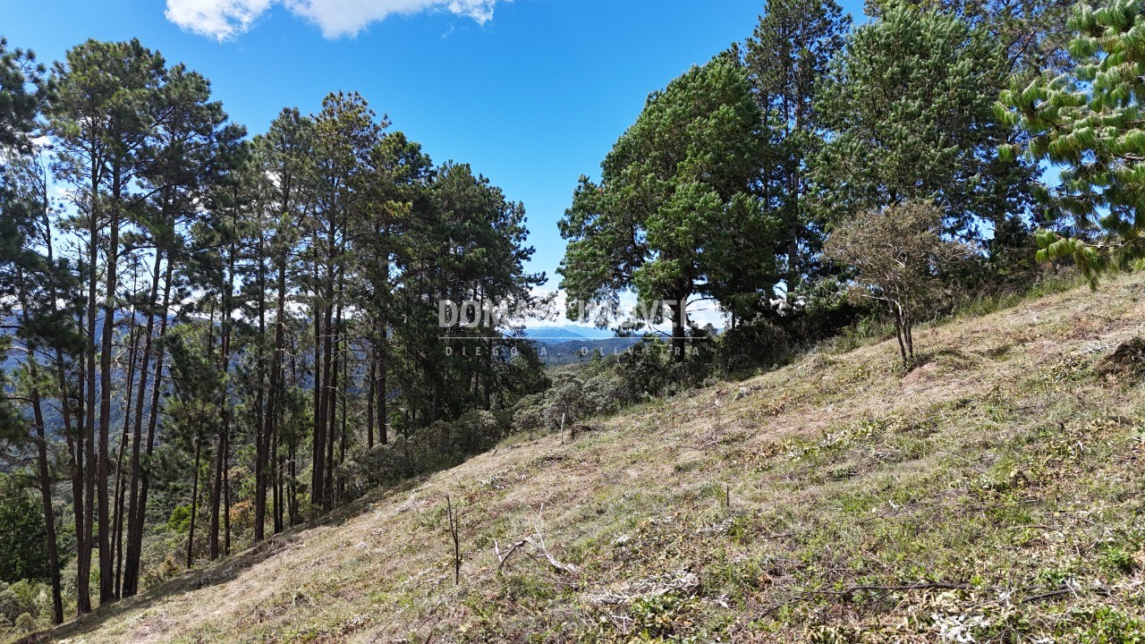Terreno, 5290 m² - Foto 1