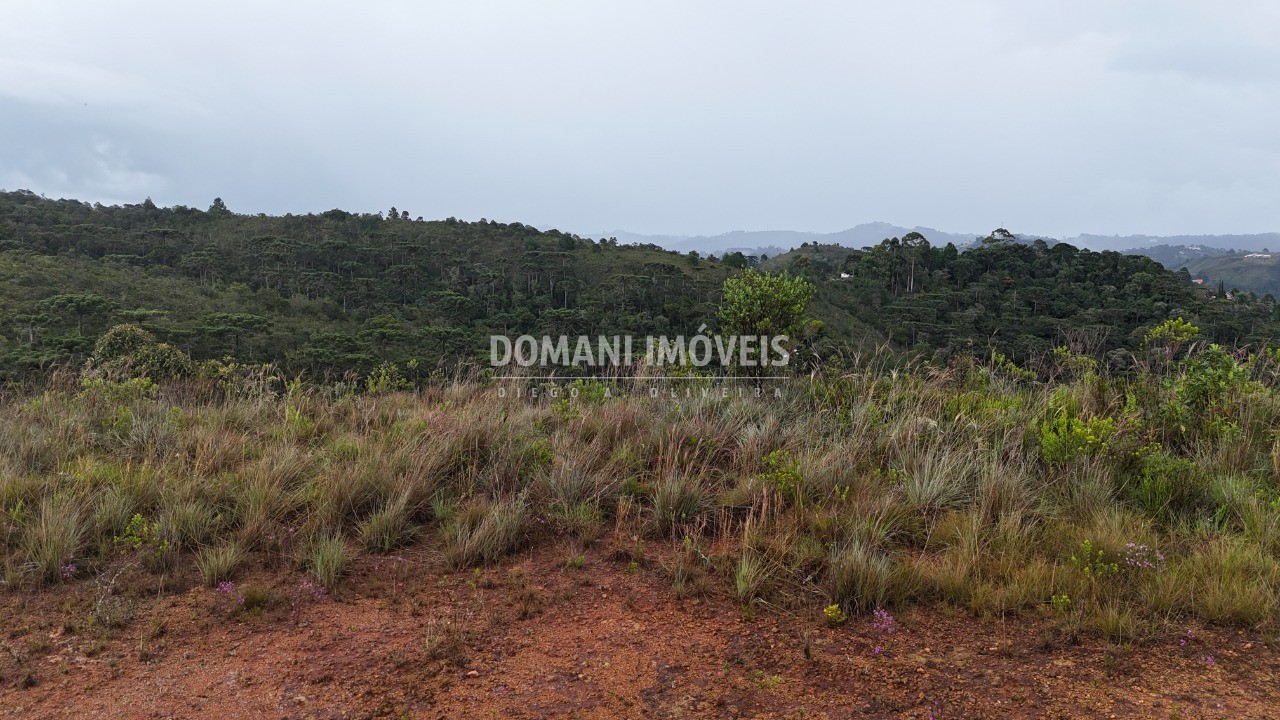 Terreno, 2320 m² - Foto 7