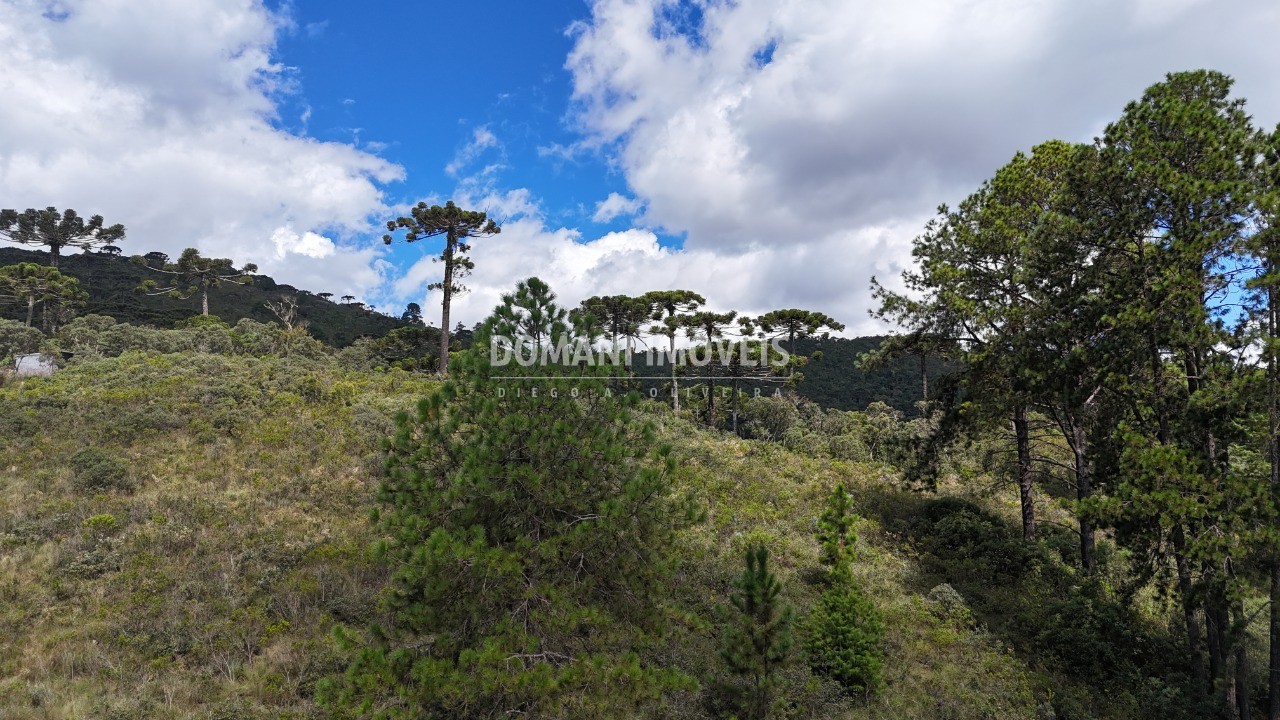 Terreno, 1515 m² - Foto 17