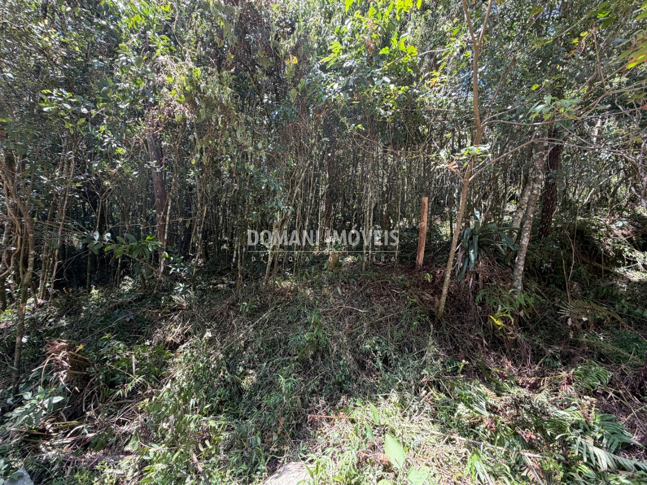 Terreno, 1000 m² - Foto 27
