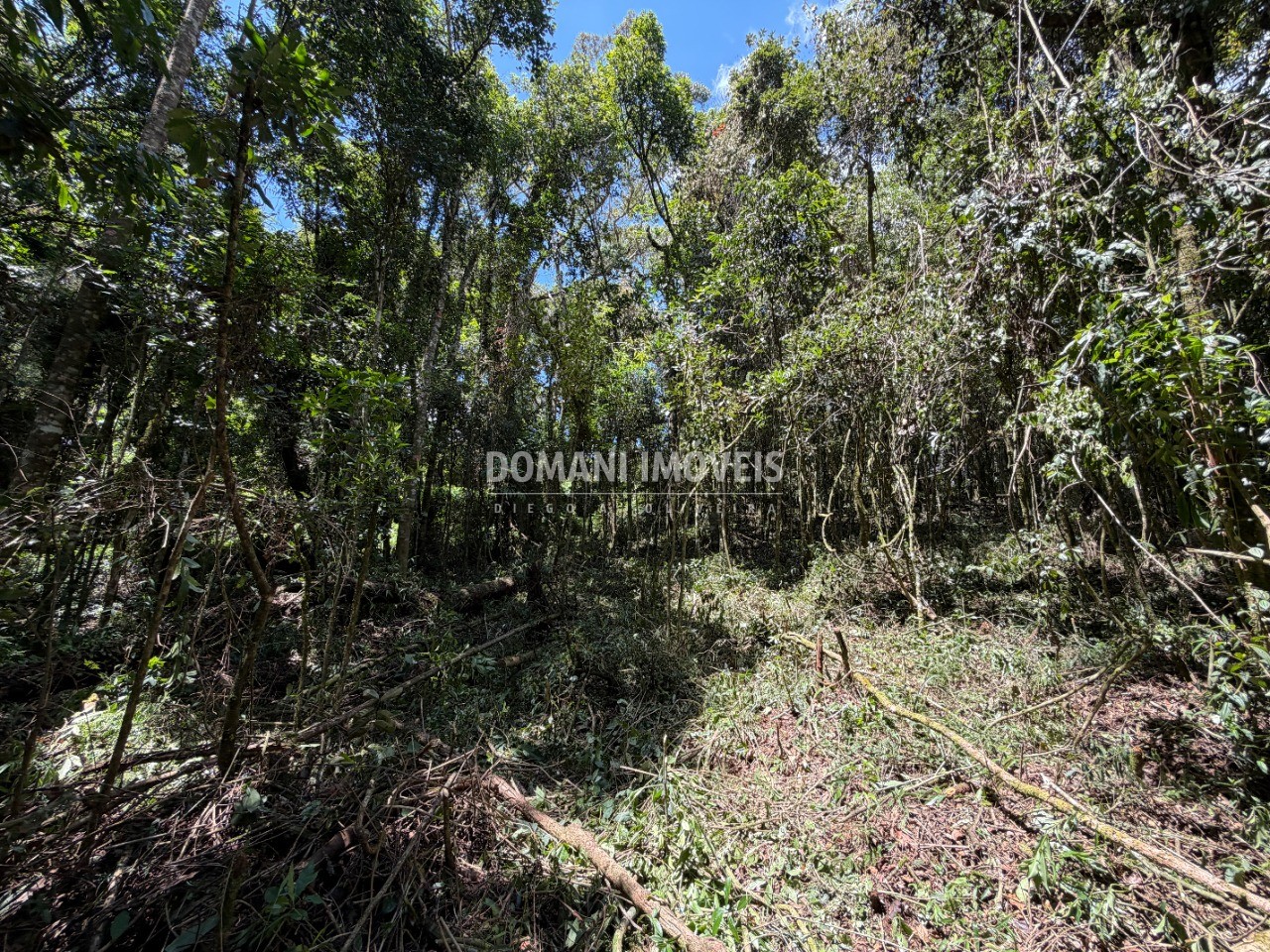 Terreno, 1000 m² - Foto 1