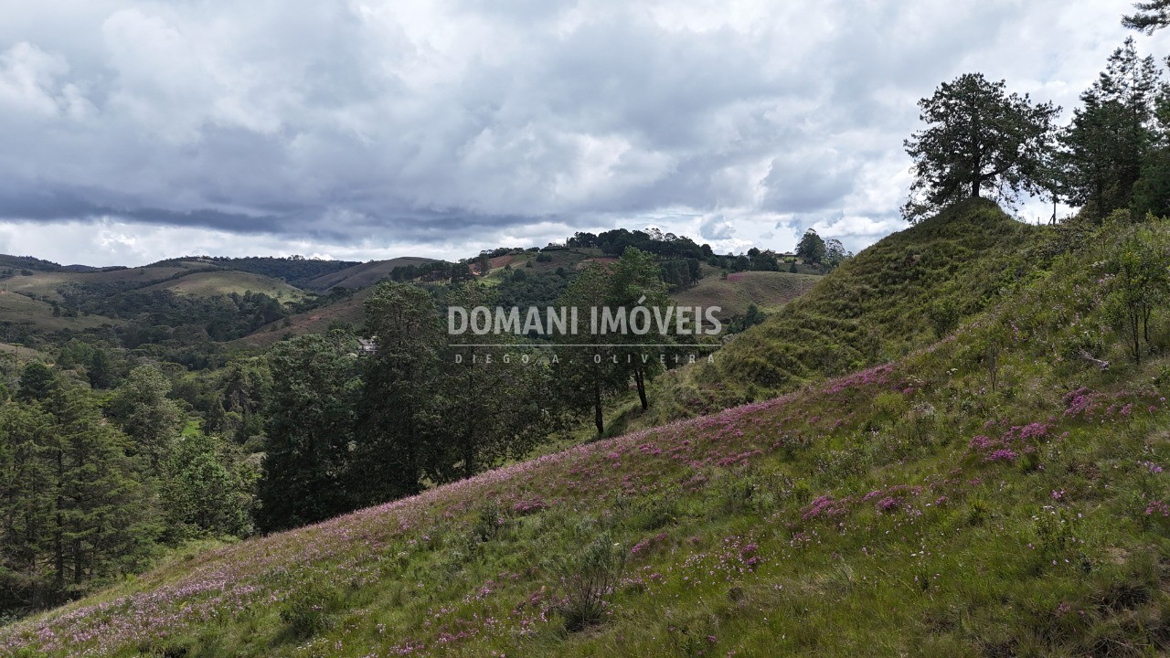 Terreno, 7090 m² - Foto 5