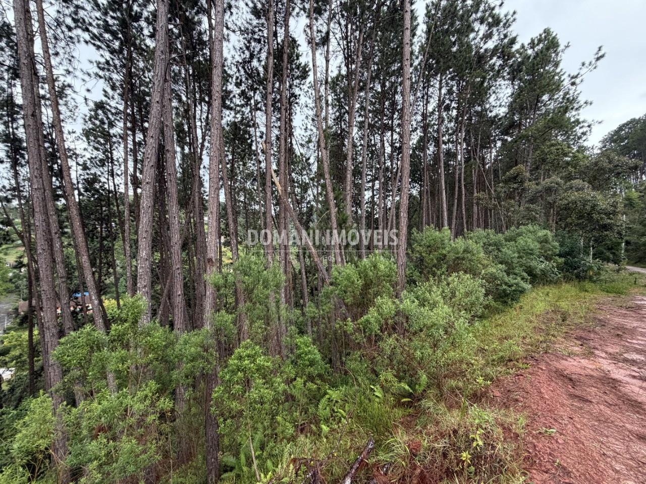 Terreno, 2560 m² - Foto 5