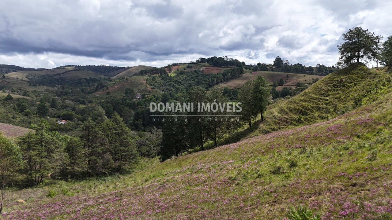 Terreno, 7090 m² - Foto 15