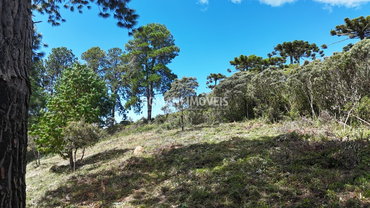 Terreno, 5290 m² - Foto 38