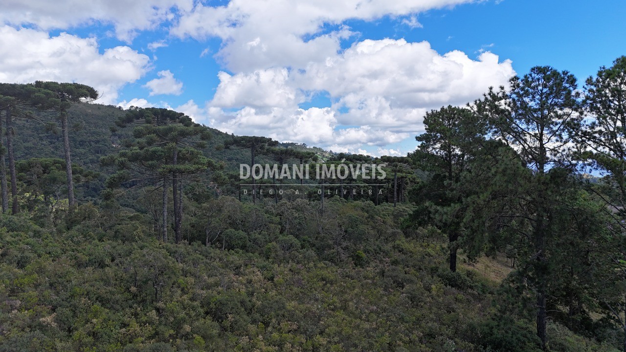 Terreno, 1515 m² - Foto 13