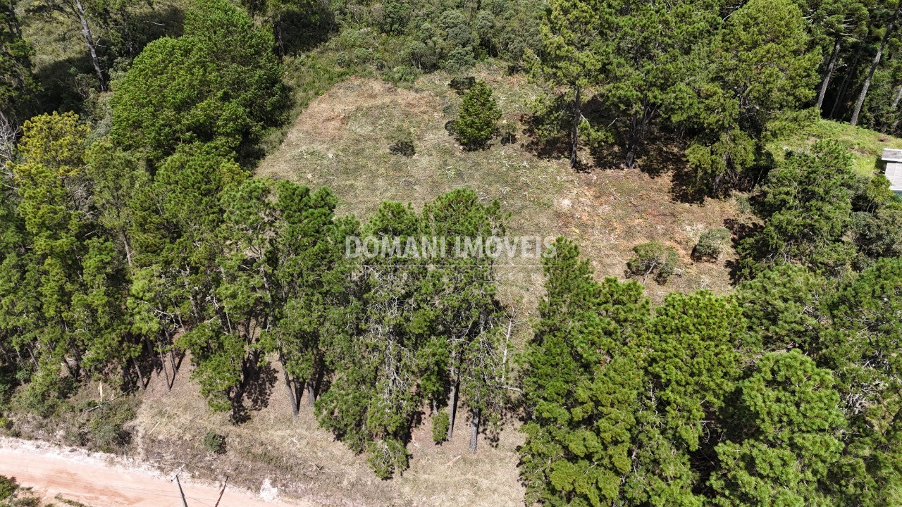 Terreno, 5290 m² - Foto 8