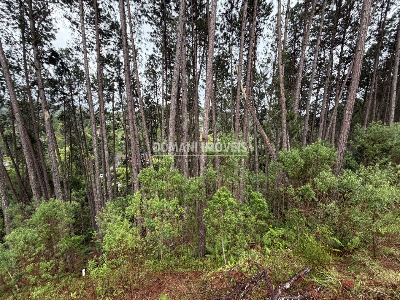 Terreno, 2560 m² - Foto 6