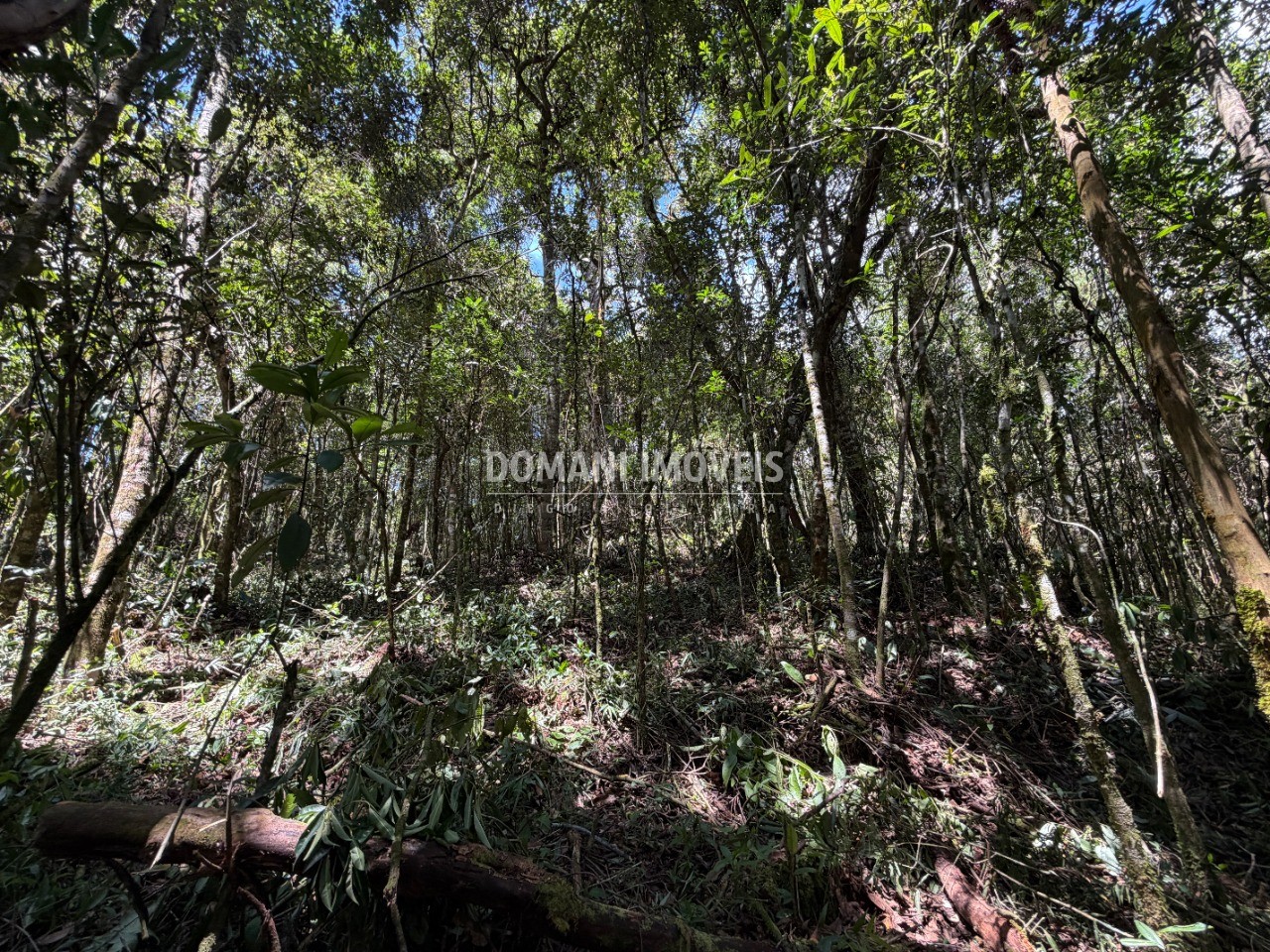 Terreno, 1000 m² - Foto 18