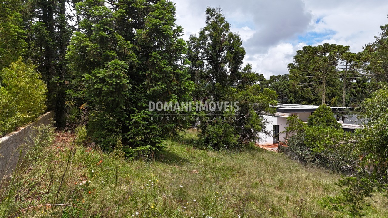 Terreno, 1095 m² - Foto 7