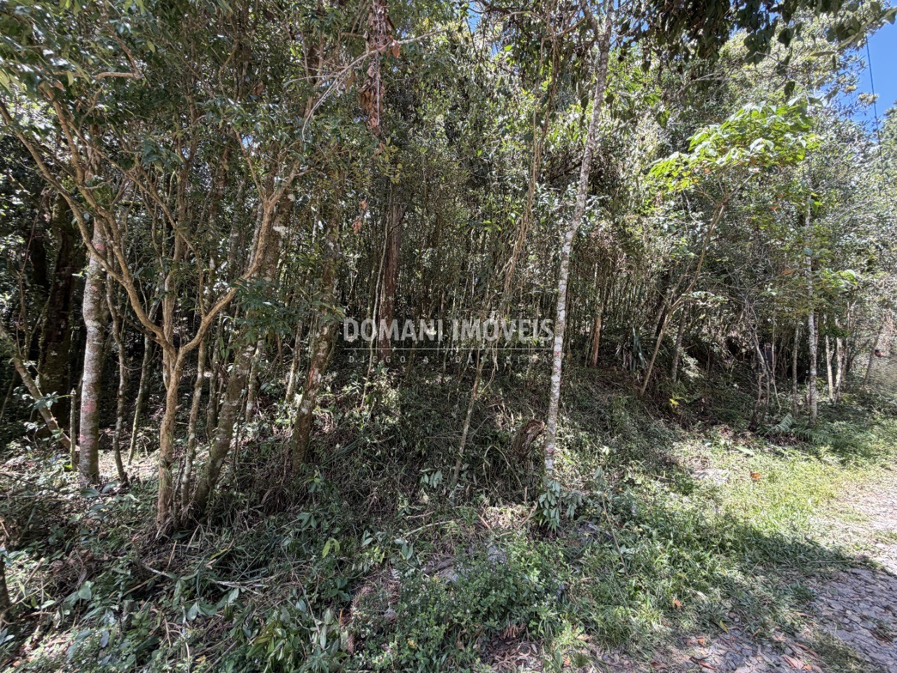 Terreno, 1000 m² - Foto 28