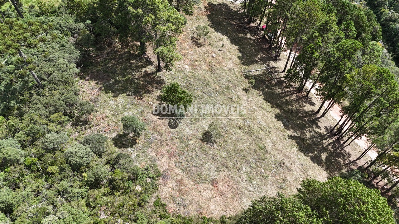 Terreno, 5290 m² - Foto 23