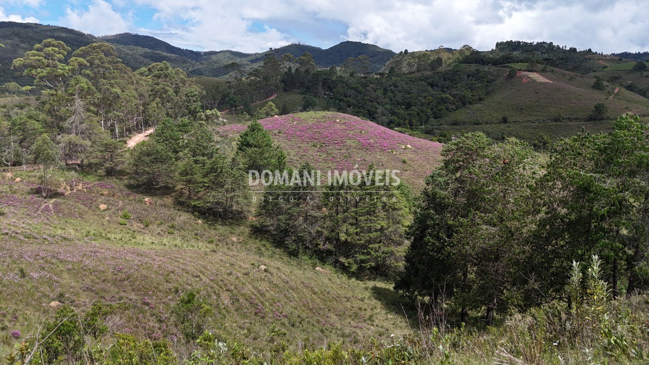 Terreno, 7090 m² - Foto 12