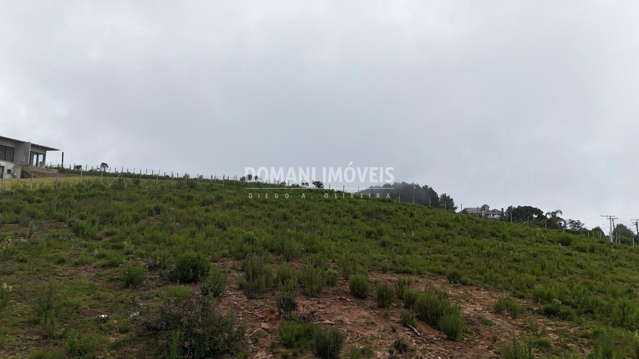 Terreno, 1310 m² - Foto 9