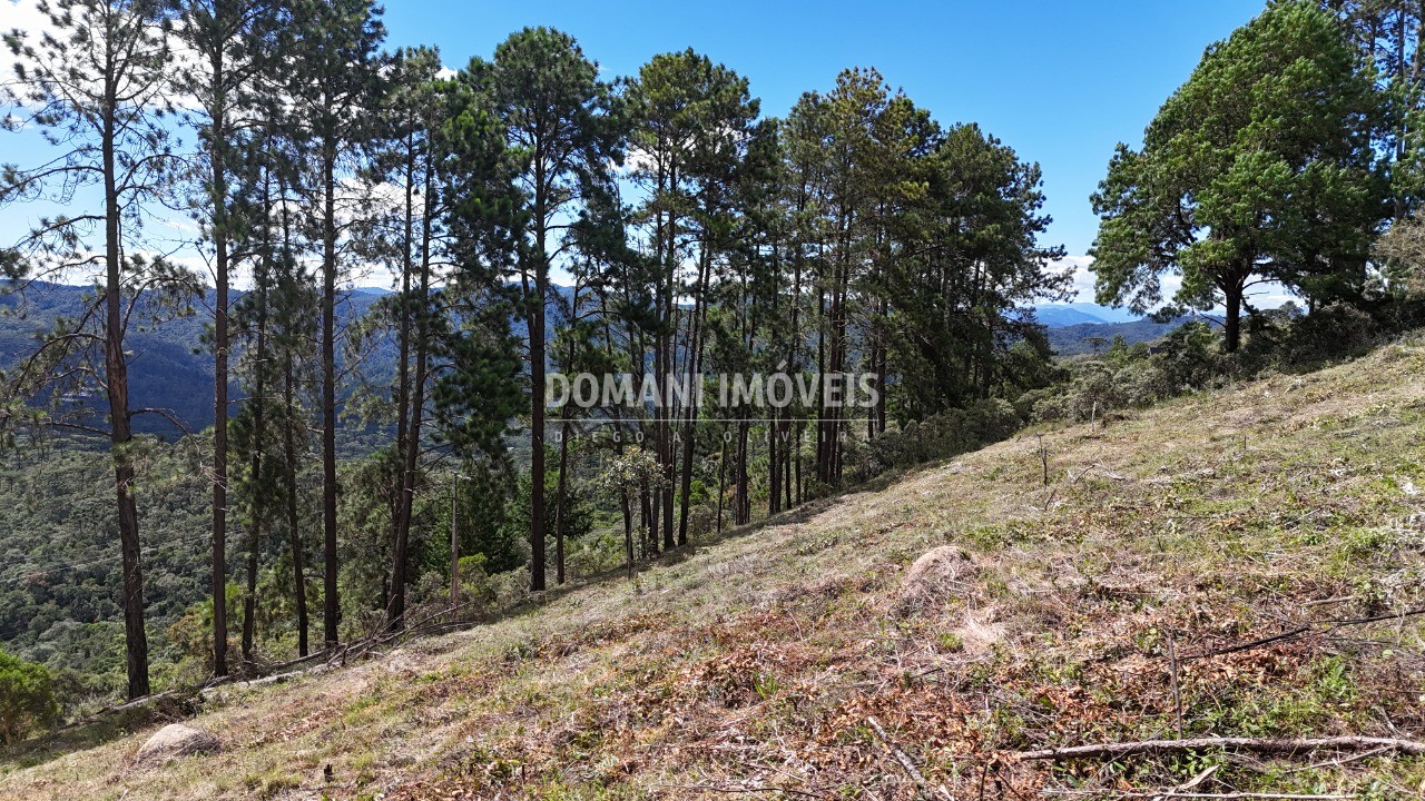 Terreno, 5290 m² - Foto 37