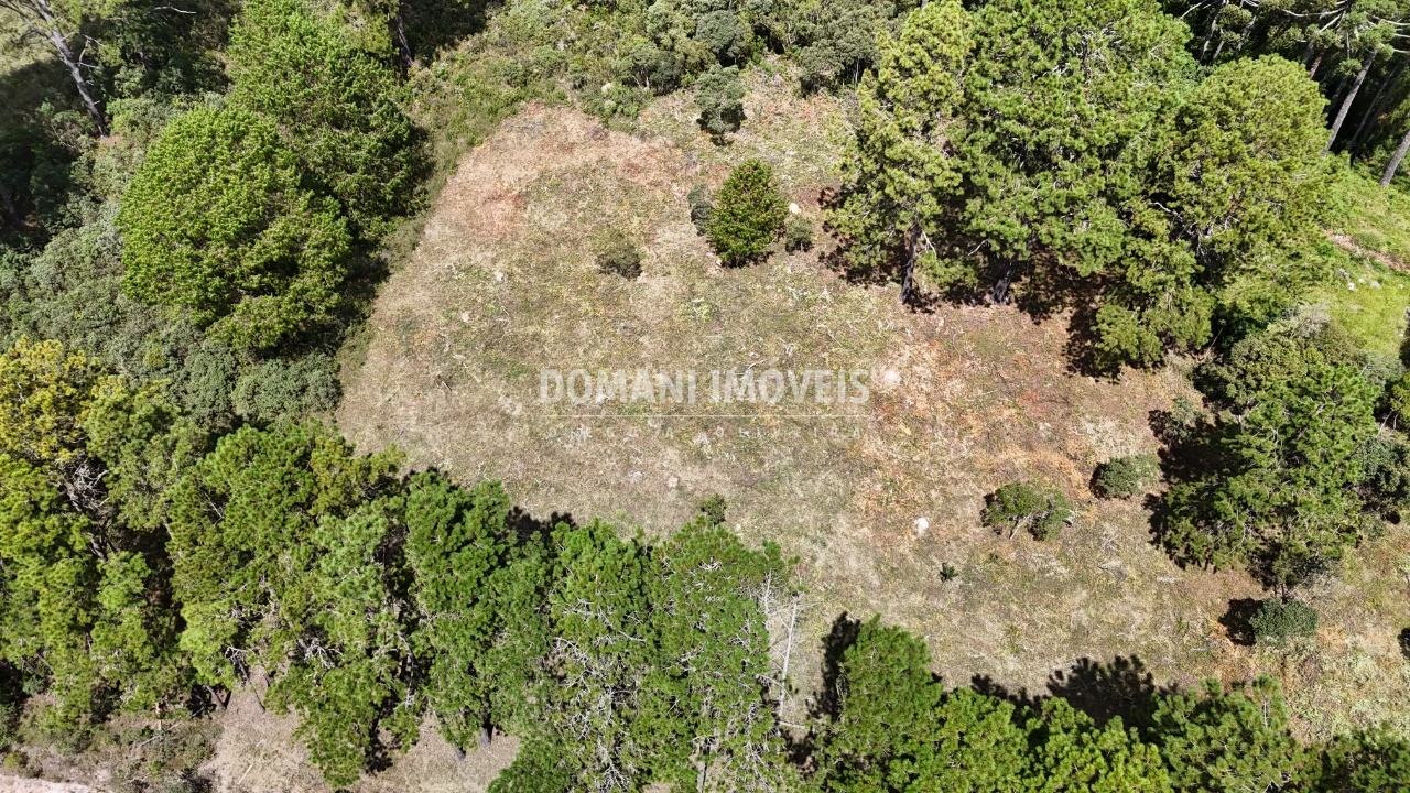 Terreno, 5290 m² - Foto 3