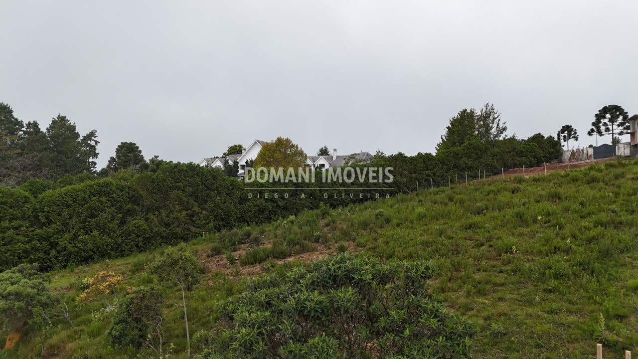 Terreno, 1310 m² - Foto 10