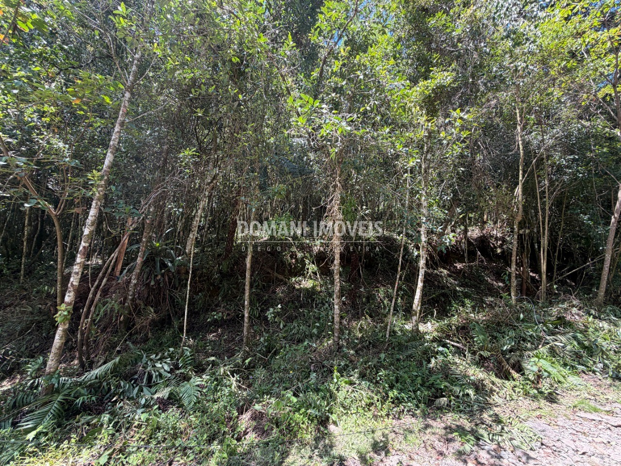 Terreno, 1000 m² - Foto 26