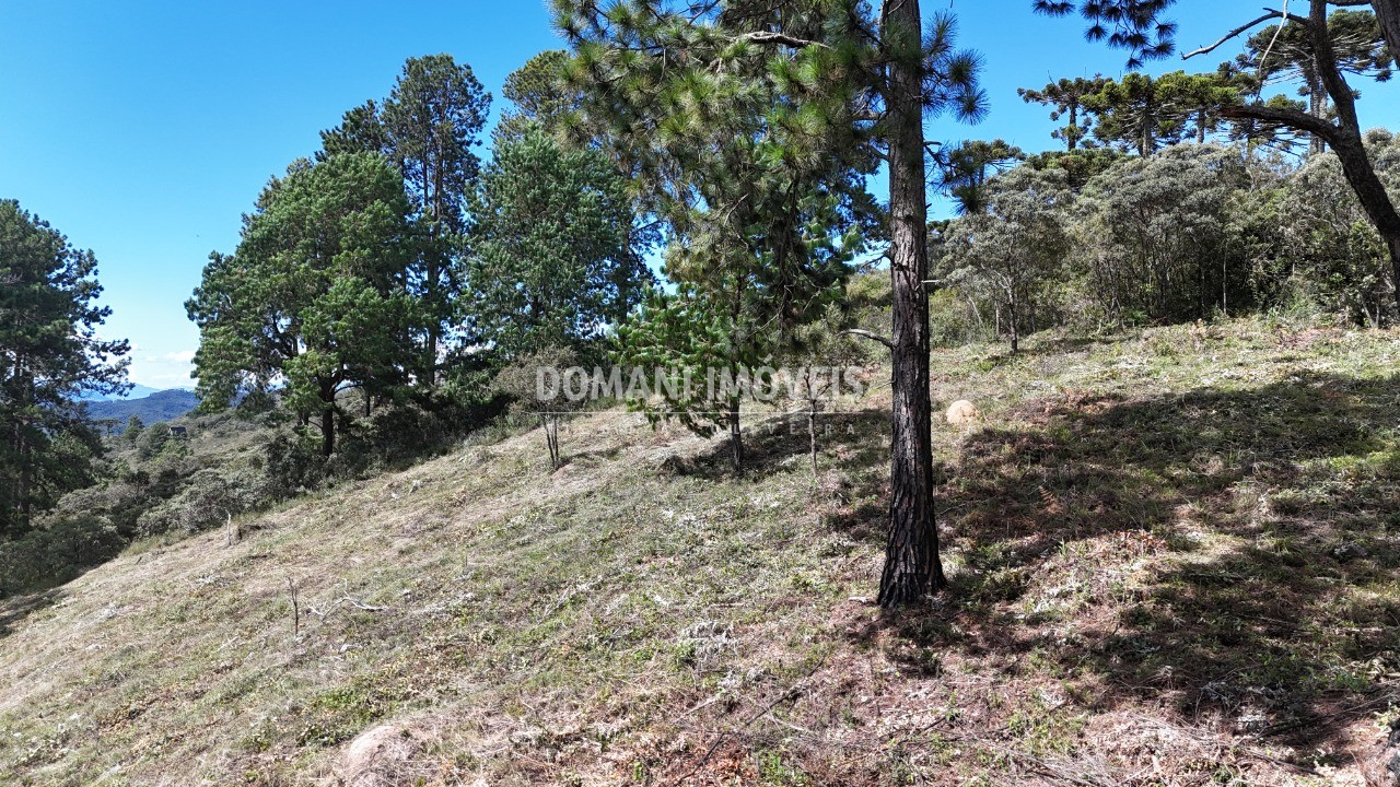 Terreno, 5290 m² - Foto 19