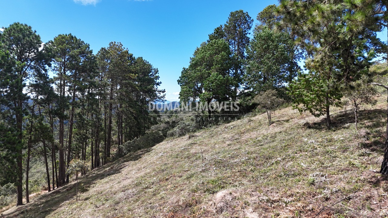 Terreno, 5290 m² - Foto 35