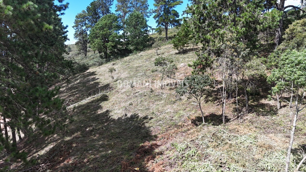 Terreno, 5290 m² - Foto 15