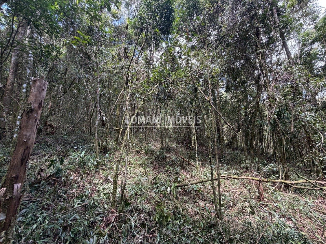 Terreno, 1000 m² - Foto 6
