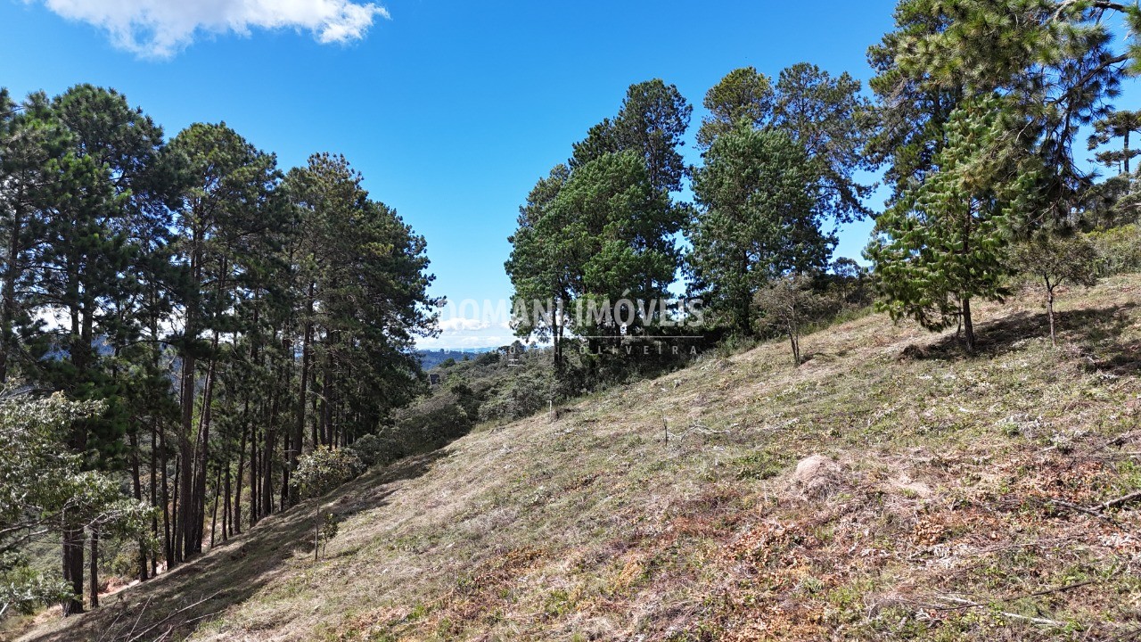 Terreno, 5290 m² - Foto 32