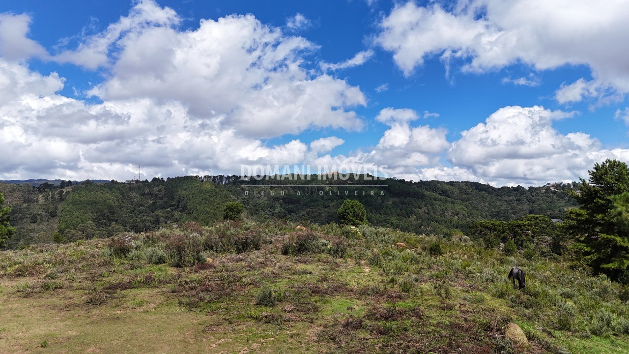Terreno, 5270 m² - Foto 11