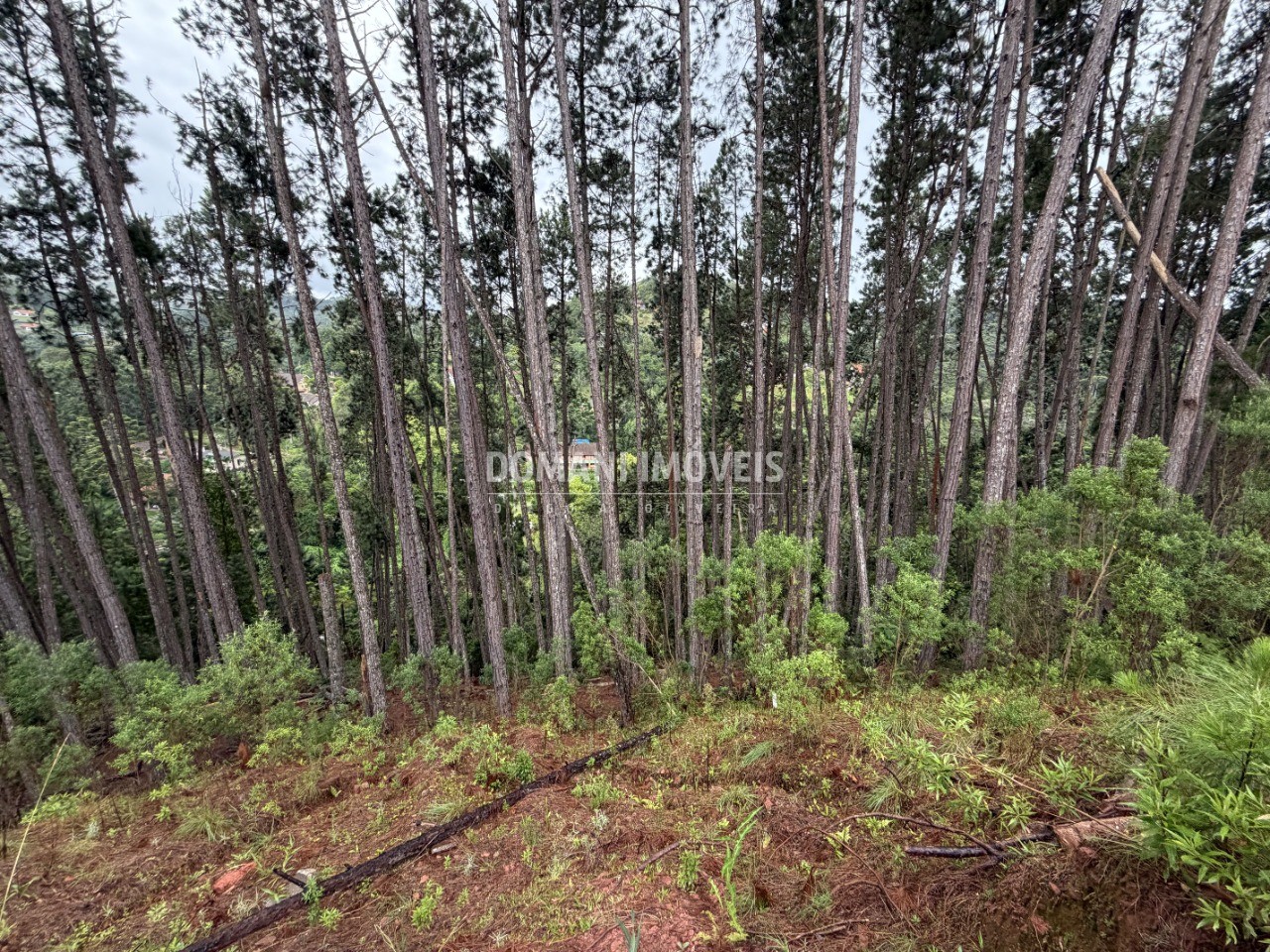 Terreno, 2560 m² - Foto 14