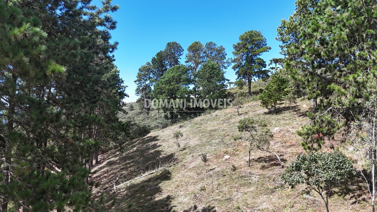 Terreno, 5290 m² - Foto 25