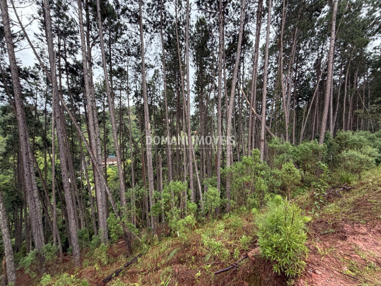 Terreno, 2560 m² - Foto 13