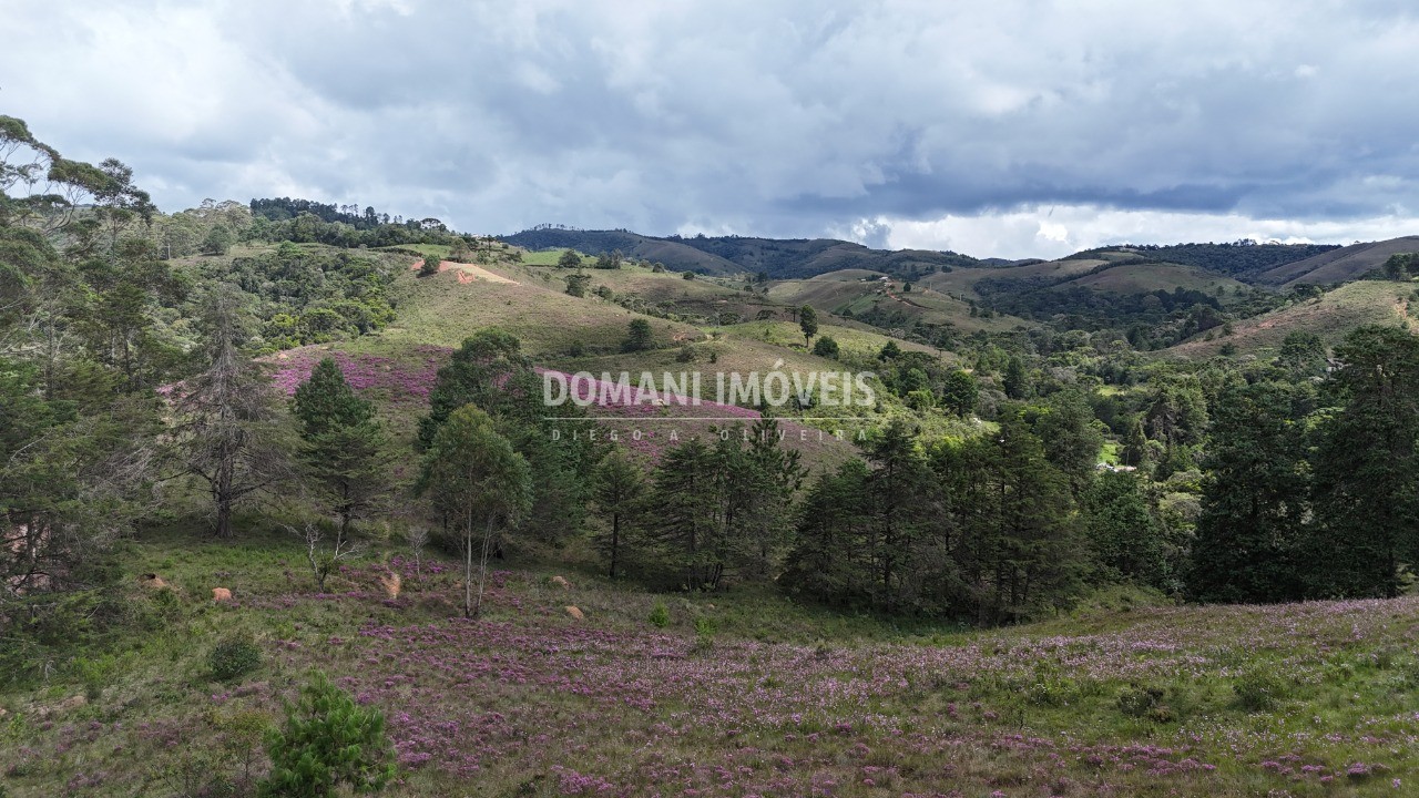 Terreno, 7090 m² - Foto 14