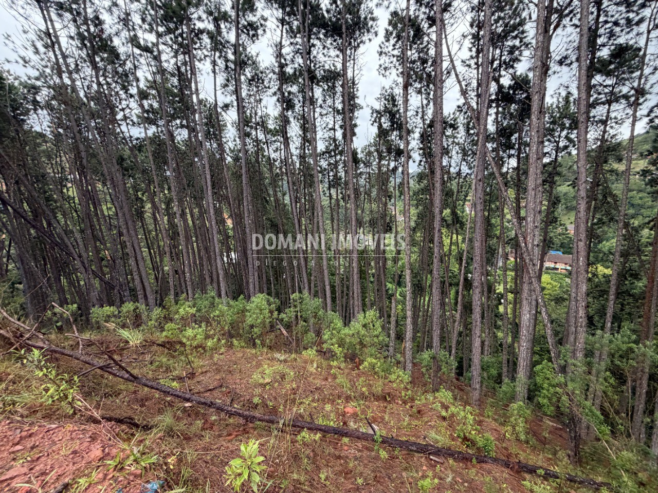Terreno, 2560 m² - Foto 10