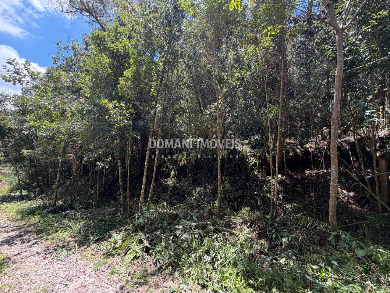 Terreno, 1000 m² - Foto 23